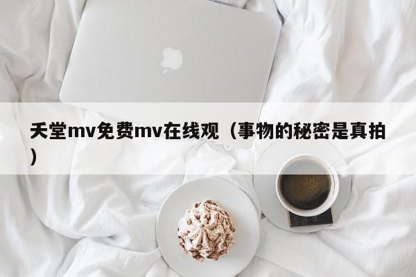 夭堂mv免费mv在线观（事物的秘密是真拍）