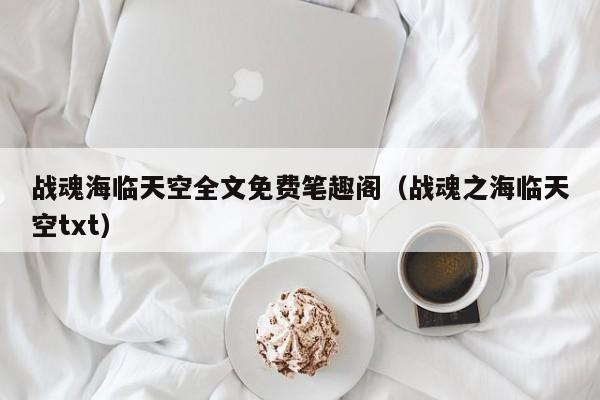 战魂海临天空全文免费笔趣阁（战魂之海临天空txt）
