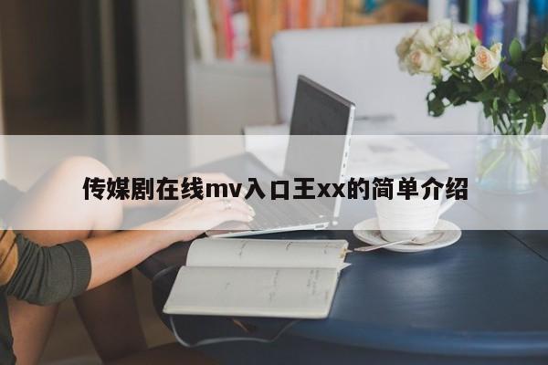 传媒剧在线mv入口王xx的简单介绍