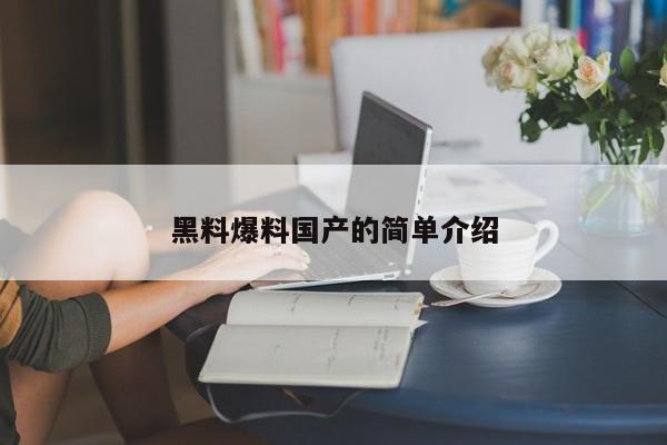 黑料爆料国产的简单介绍